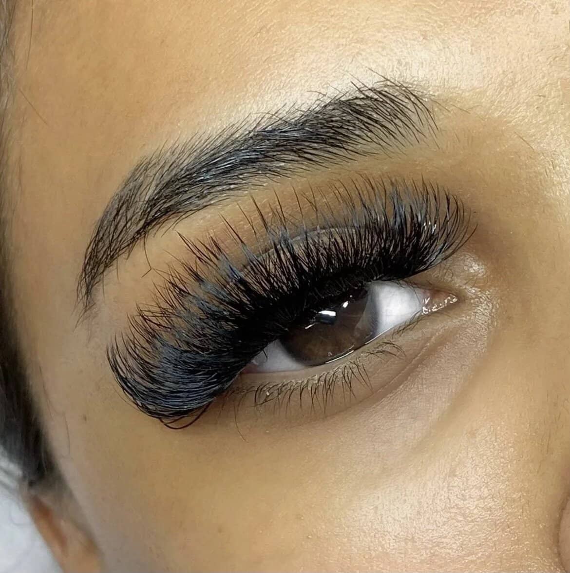 LASH & CO