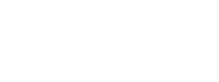 Precise Beauty & Aesthetics logo