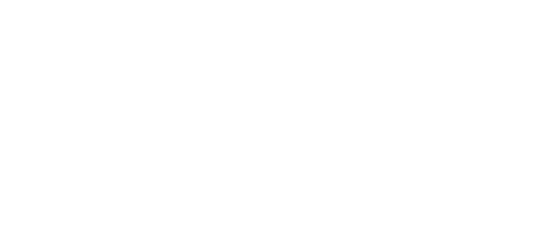 Tint logo